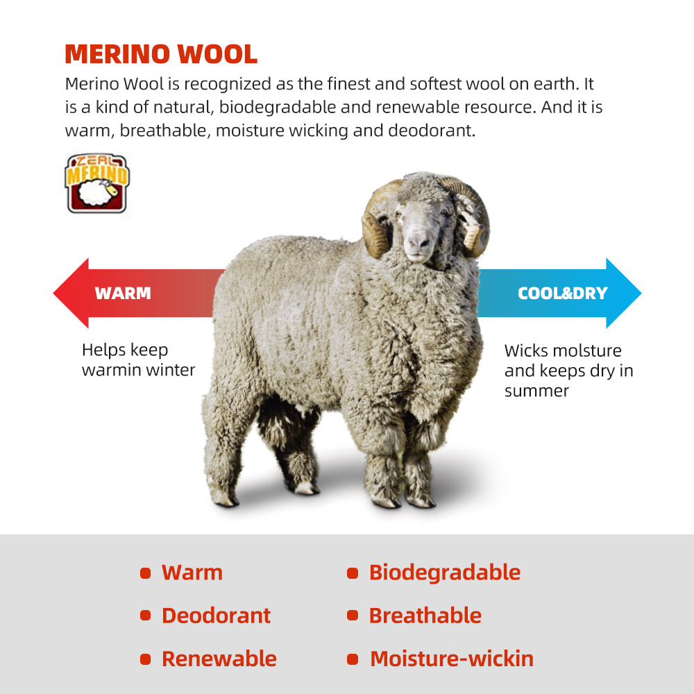 ZEALWOOD ميرينو الصوف الجري ال - مراجعة Wool Hiking Sock وسعره